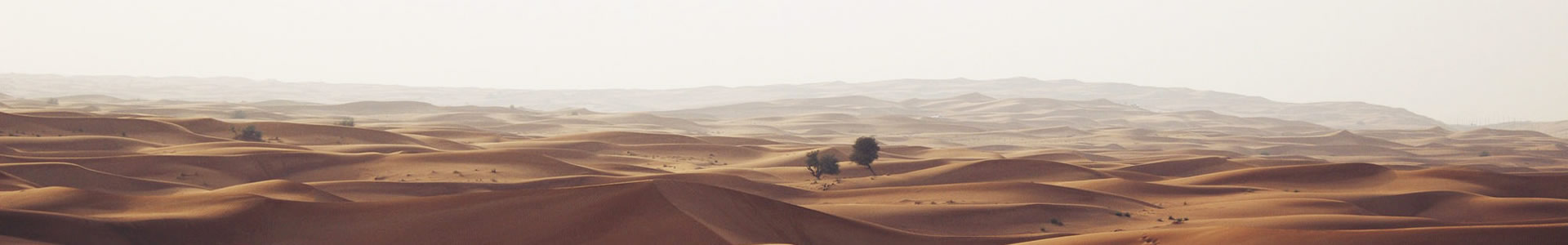 еľ޹˾